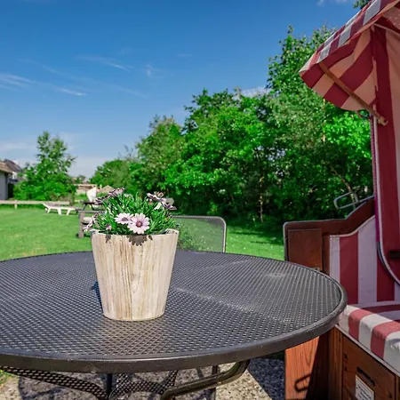 Hotel Letj Briis 3*